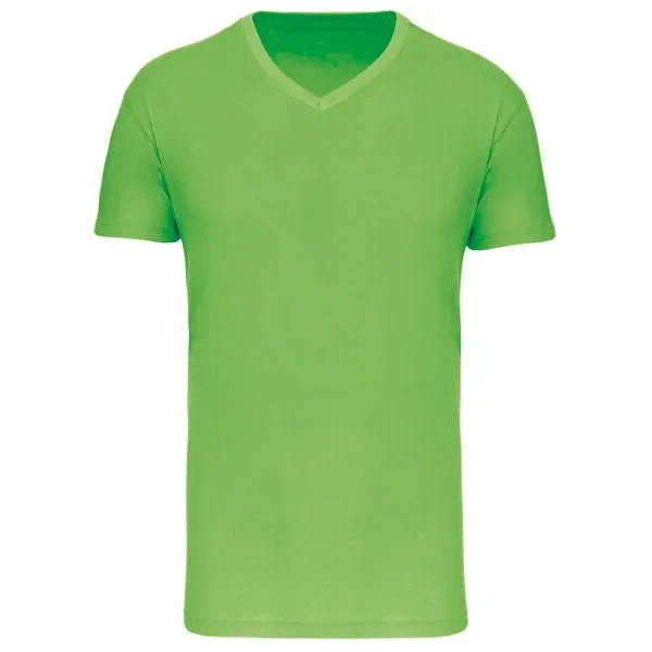 Greenspired Greenspired Basic Unisex Bio V Neck T- Shirt 145 g/m² S - 5 XL, Hellgrün, – Produktbild 1 von 1