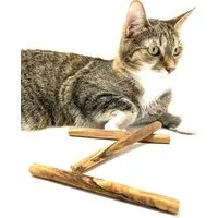 Olivenholz erleben Olivenholz erleben Kauknochen aus Olivenholz für kleine Hunde oder Katzen (3er Set) – Produktbild 1 von 1