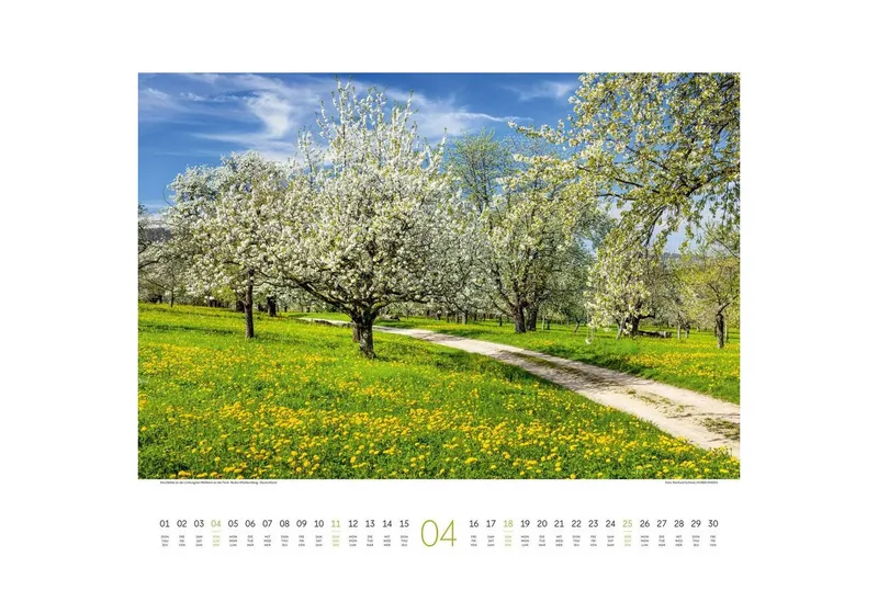 Ackermann Wandkalender Wege Kalender 2027 – Produktbild 5 von 5