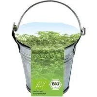 Bio Kresse im Eimer – Produktbild 1 von 1