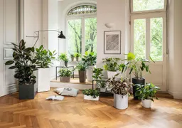 Lechuza® Lechuza® Pflanzkübel Lechuza Blumentopf rund Classico LS 28 weiß hochglanz Kunststoff mit – Produktbild 1 von 1