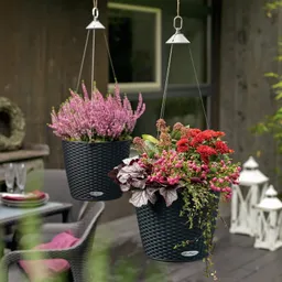 Lechuza® Lechuza® 'Nido Cottage 35', graphitschwarz, ca. Ø 35 x H 23 cm – Produktbild 1 von 1