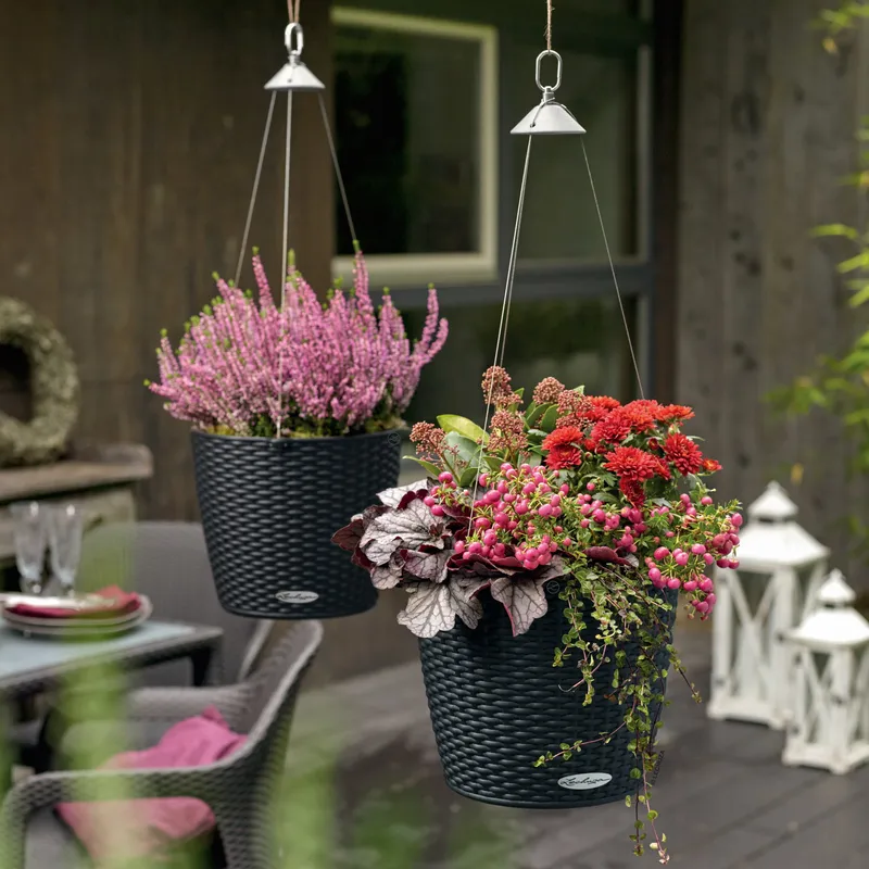 Lechuza® Lechuza® 'Nido Cottage 35', graphitschwarz, ca. Ø 35 x H 23 cm, Schwarz, – Produktbild 1 von 1