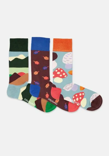 DillySocks DillySocks Socken „Fall Wonders (3er Box)“, Mehrfarbig, – Produktbild 4 von 4