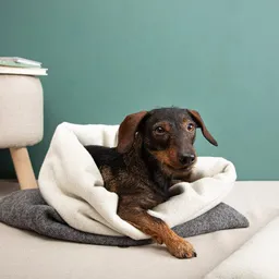 nahtur-design nahtur-design Kuschelsack für Hunde | 100% Schurwolle | Wechselbares Inlay – Produktbild 1 von 1