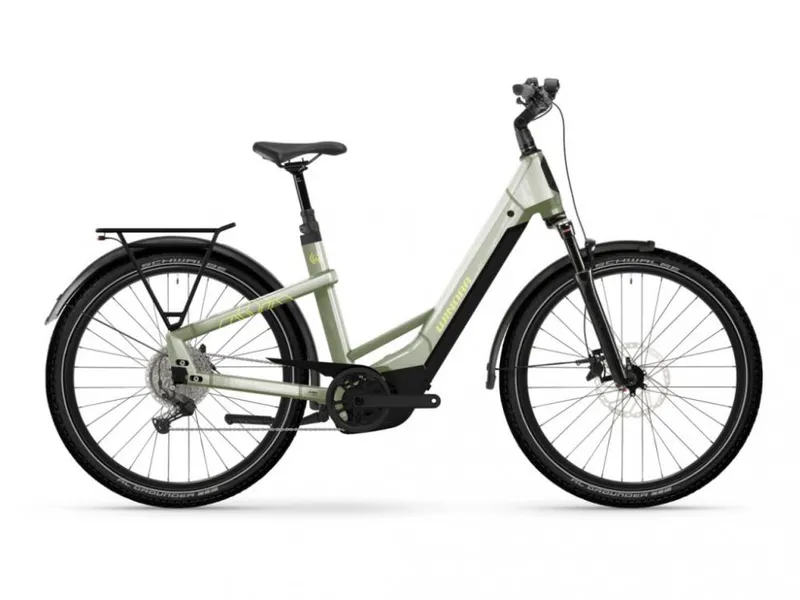Winora Winora YAKUN X10 LOW i800Wh 10-G Cues 25 WIN BCXK GL_ivory green Rh L – Produktbild 1 von 1