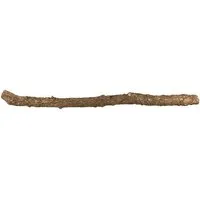 Kork-Deko Kork-Deko Korkast von der Korkeiche | Naturkork-Rinde als Terrariumausstattung – Produktbild 1 von 1