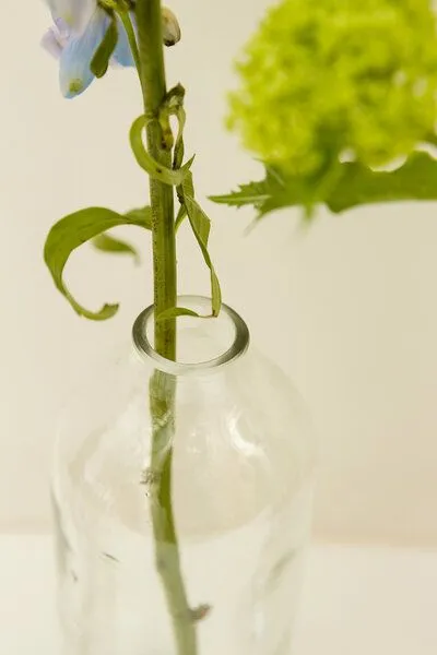 Originalhome Originalhome Flaschenvase aus recycelten Weinflaschen, Klar, – Produktbild 4 von 5