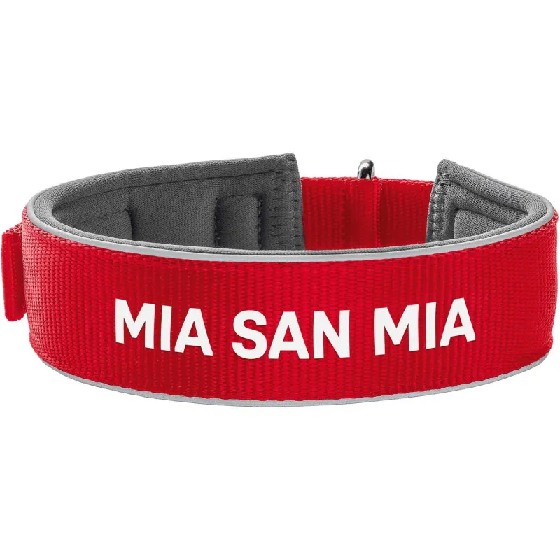 Hunter Hunter Halsband Neopren FC Bayern München 60 cm – Produktbild 1 von 2