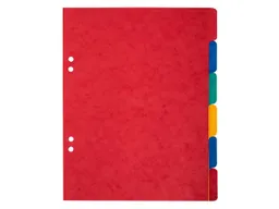 20 Exacompta Register, Colorspan-Karton, 6 Taben, 225 g/m², 220x170 mm, DIN A5+ – Produktbild 1 von 1