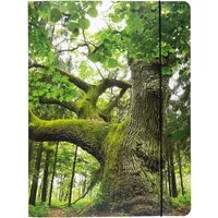 Sammelmappe "Baum", DIN A4, mit Gummizug und 3 Einschlagklappen, Recyclingkarton 500 g/m² – Produktbild 1 von 1