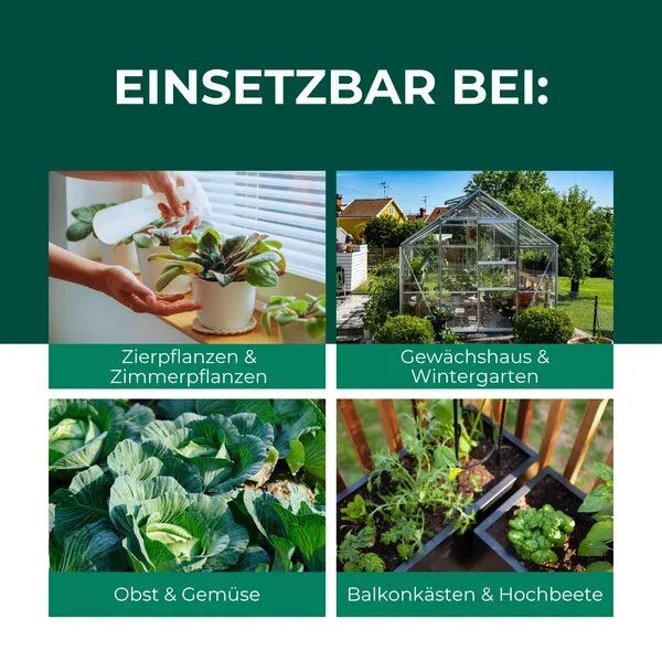 Silberkraft Silberkraft Florfliegenlarven gegen Blattläuse, Woll- & Schmierläuse, Spinnmilben, Thripse & weiße Fliegen – Produktbild 4 von 4