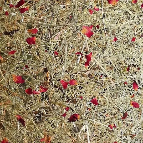 ALMUT von Wildheim ALMUT von Wildheim Almheu Pendellampe aus 100 % Tiroler Bio-Gräsern, Heu & rosenblüten (grün/rot), – Produktbild 3 von 4