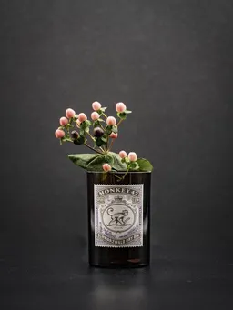 MaBe MaBe Vase aus der Gin Flasche - witzig als nachhaltiges Geschenk – Produktbild 1 von 1