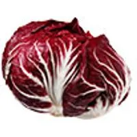 Deutschland Radicchio – Produktbild 1 von 1
