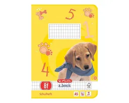 Herlitz Herlitz Schulheft x.book, A5, rautiert (Lineatur 8f), mit Außenrand, ungelocht, 16 Blatt – Produktbild 1 von 1