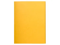 Exacompta 25 Exacompta Sammelmappen, Colorspan-Karton, 390 g/m², DIN A4, 3 Klappen, gelb – Produktbild 1 von 1