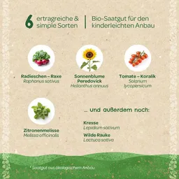 Die Stadtgärtner Die Stadtgärtner BIO-Saatgut-Set "Kinder-Garten" I Tolles Saatgut-Set für Kinder als Geschenk – Produktbild 1 von 1