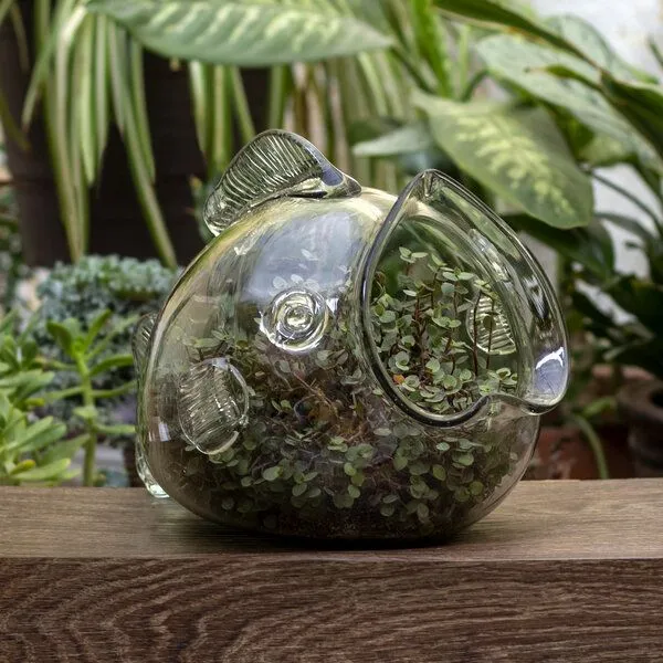 Mitienda Shop Mitienda Shop Blumentopf Fisch, Terrarium – Produktbild 1 von 3