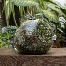 Mitienda Shop Mitienda Shop Blumentopf Fisch, Terrarium – Produktbild 1 von 1