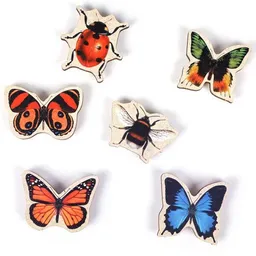 WERKHAUS WERKHAUS Magnet-Set - Nature Fun – Produktbild 1 von 1