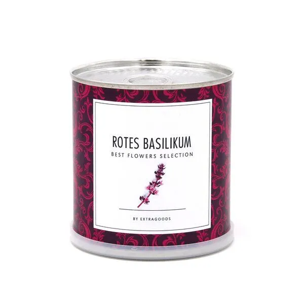 MacFlowers MacFlowers Pflanzen in der Dose - rotes Basilikum, Lila, – Produktbild 2 von 4