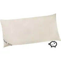 Prolana Prolana Schurwoll-Kissen 40x80cm J. 700g SSW-Kügel. – Produktbild 1 von 1
