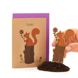 Die Stadtgärtner Die Stadtgärtner Danksagungskarte mit Blumensamen - Motiv "Danke Eichhörnchen" – Produktbild 1 von 1