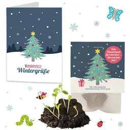 Ideenverlag Hamburg Ideenverlag Hamburg 1x Saatsterne „Tannenbaum“ mit Grußkarte | Dein Tannenbaum fürs überüberübernächste Jahr – nachhaltiges Weihnachtsgeschenk mit Fichtensamen / Adventskalender / Wichtelgeschenk – Produktbild 1 von 1