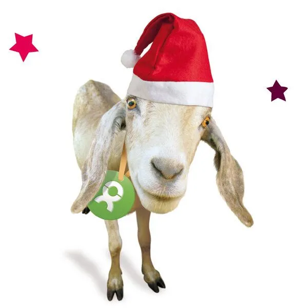 OxfamUnverpackt OxfamUnverpackt Spenden-Geschenk "Ziege" (Weihnachtskarte mit Magnet) – Produktbild 1 von 2