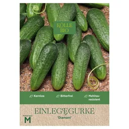 Kölle Bio Kölle Bio Gemüsesamen, Einlegegurke 'Diamant' – Produktbild 1 von 1
