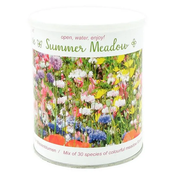 MacFlowers MacFlowers Wildblumenarten - diese Sommerwiese enthält 30 verschiedene Sorten – Produktbild 2 von 4