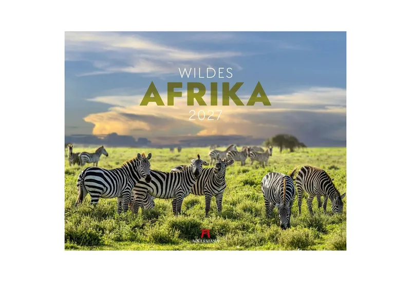 Ackermann Wandkalender Wildes Afrika Kalender 2027 – Produktbild 1 von 5