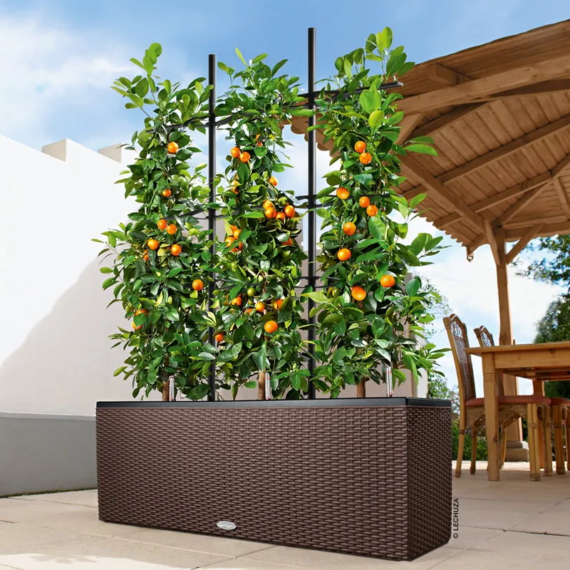 Lechuza® Lechuza® 'Trio Cottage 30', mokka, ca. 100 x 32 x H 34 cm, Braun, – Produktbild 1 von 1