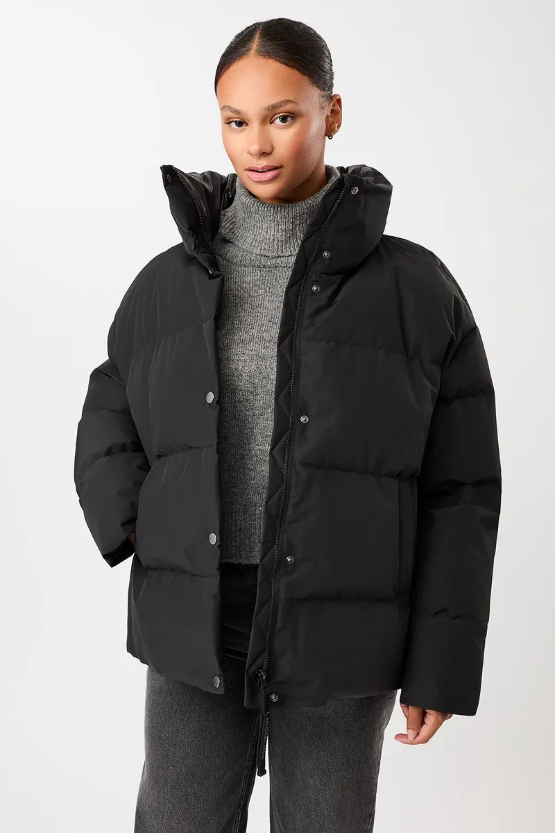 LangerChen LangerChen Damen vegan Steppjacke Mit Stehkragen Schwarz, Blau, – Produktbild 1 von 1