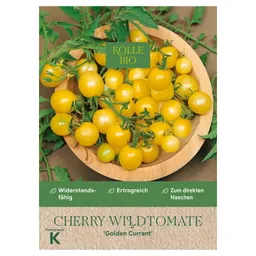 Kölle Bio Kölle Bio Saatgut Wildtomate 'Golden Currant' – Produktbild 1 von 1