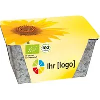 Bio Wachstums-Kästchen 'Sonne' – Produktbild 1 von 1