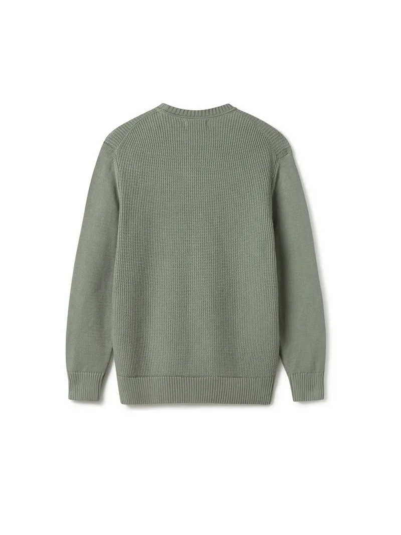 TWOTHIRDS TWOTHIRDS Herren vegan Pullover Makuaku Washed Grün, Grün, – Produktbild 1 von 2