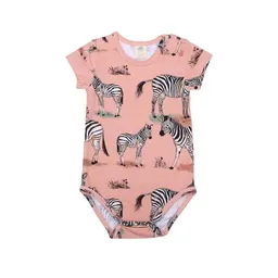 Walkiddy Baby Body Kurzarm *Frosch*/*Zebra Family* Gots Bio | Walkiddy – Produktbild 1 von 1