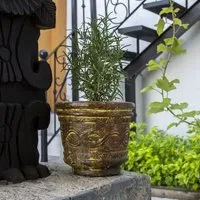 Mitienda Shop Mitienda Shop Blumentopf Vaso Azteca – Produktbild 1 von 1
