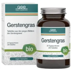 GSE Gerstengras-Tabletten – Produktbild 1 von 1