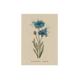matabooks® matabooks® Vintage botanische A6 Postkarte mit Blumenmotiv aus nachhaltigem Graspapier – Produktbild 1 von 1