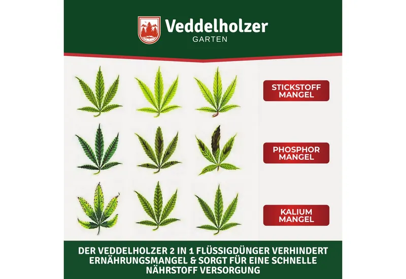 Veddelholzer Spezialdünger Premium 500ml All in One Bio Cannabis Dünger Wachstum & Blüte, für Indoor & Outdoor inklusive Dosierkappe, für alle Cannabiskulturen und Substrate, Organischer Hanf Dünger mit Vinasse – Produktbild 5 von 5