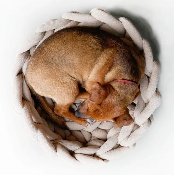 PANAPUFA PANAPUFA Hundebett aus Big Cotton – handgefertigt, Beige, – Produktbild 2 von 2