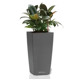 Lechuza® Lechuza® 'Maxi-Cubi', anthrazit, ca. 14 x 14 x H 26 cm – Produktbild 1 von 1