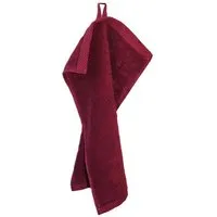 ege organics ege organics 2 Stück Handtuch Bio-Baumwolle Gästetuch 50X100cm 600gr/m² – Produktbild 1 von 1