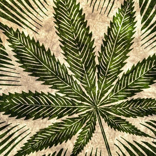 Veskor Cassiopeia Veskor Cassiopeia CANNABIS BLATT Marihuana Pflanzen Linoldruck | 40 × 40 cm | Grün auf Naturweiß – Produktbild 2 von 4
