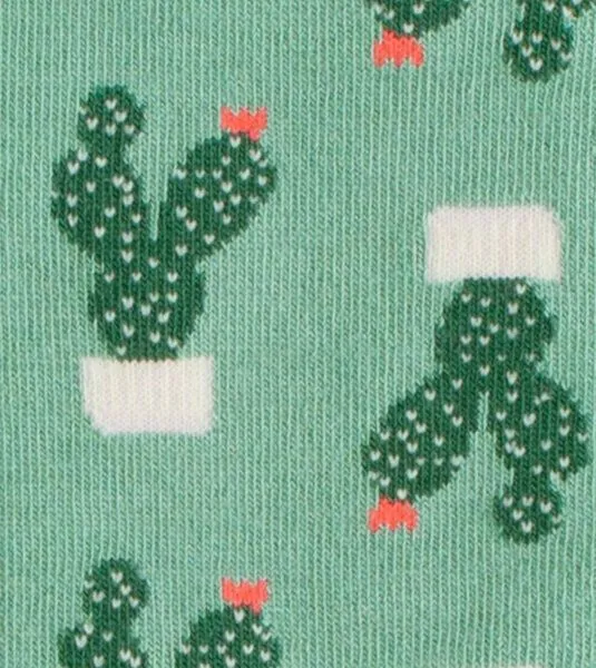 DillySocks DillySocks Socken Succulent aus Biobaumwoll-Mix, Grün, – Produktbild 2 von 4