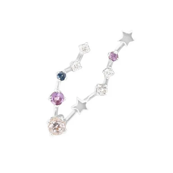 Eppi Eppi Ohrringe mit Sternzeichen Pisces, Weiss, – Produktbild 1 von 3
