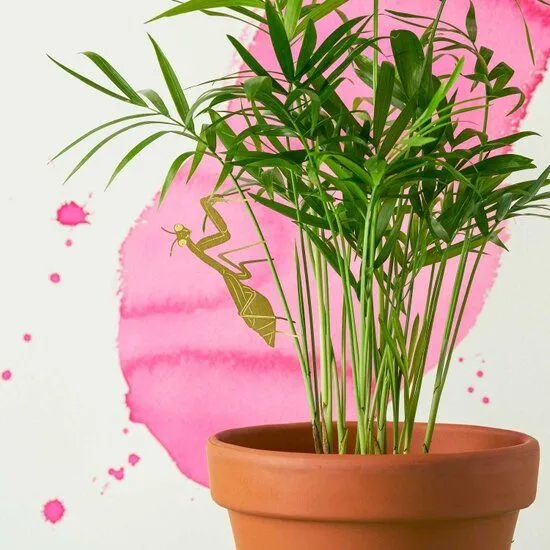 another studio another studio Plant Animal - Design Pflanzendekoration - Figuren aus Messing, Gottesanbeterin, – Produktbild 3 von 4